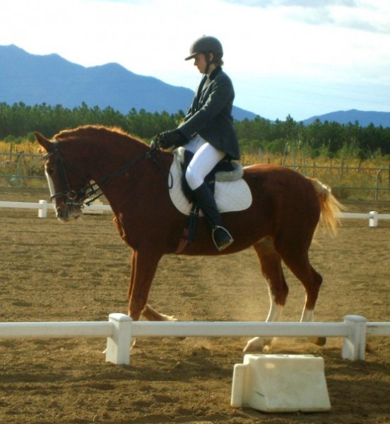 Photo de profil de pommecassi