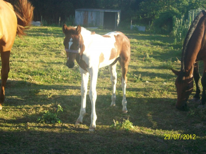 Photo de profil de lena0000