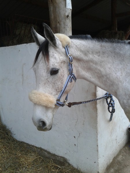 Photo de profil de quarik