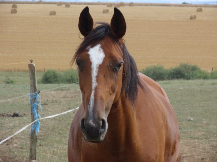 Photo de profil de olympus