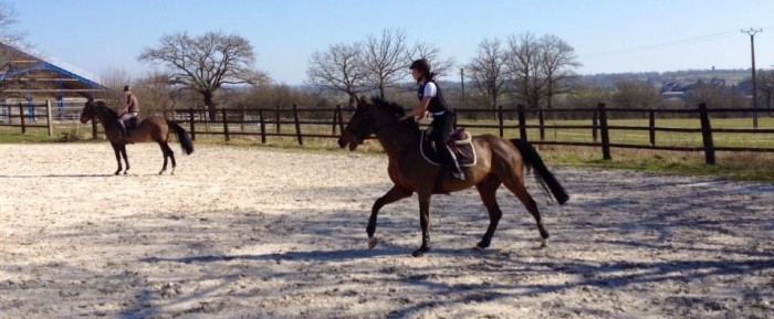 Photo de profil de fairytales