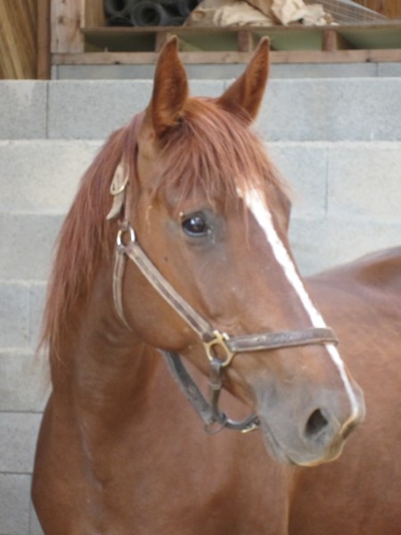 Photo de profil de coraline53000