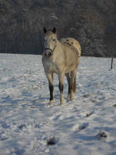Photo de profil de spinman