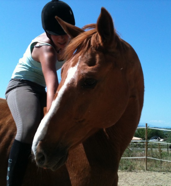 Photo de profil de chevaaaaaaaal