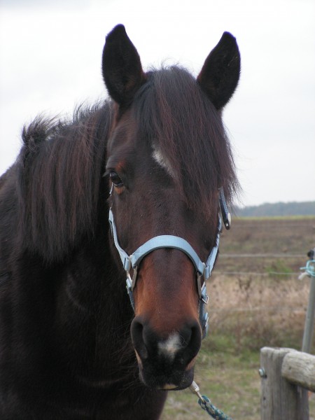 Photo de profil de alizeahalia