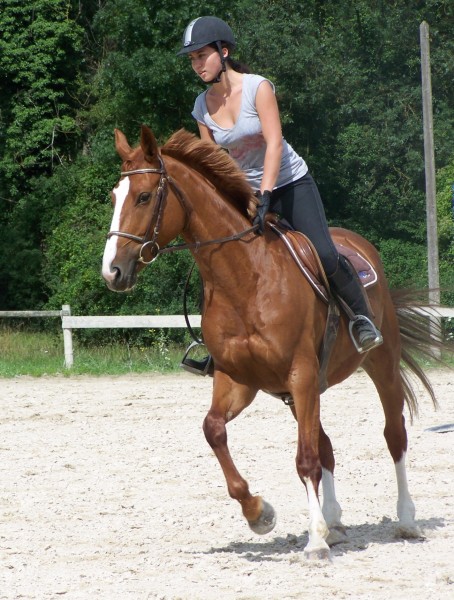 Photo de profil de bigoodi