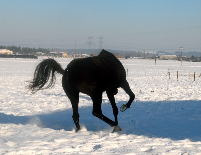Photo de profil de symphonie5