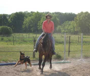 Photo de profil de boel