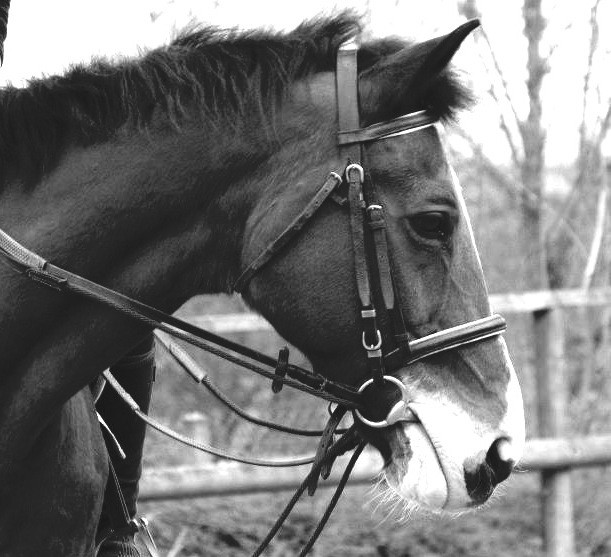 Photo de profil de 13avril