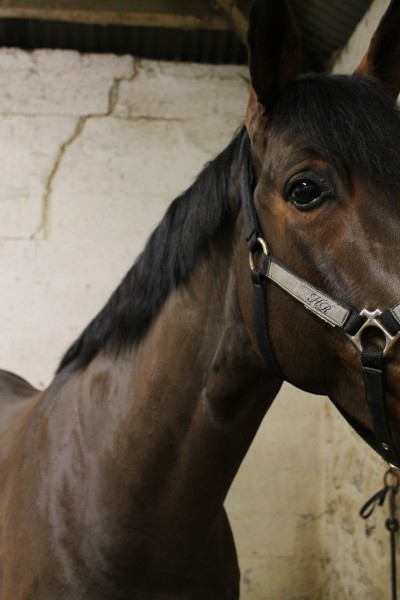 Photo de profil de missnella