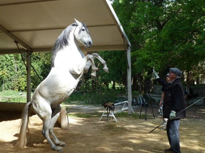 Photo de profil de lacroixalex