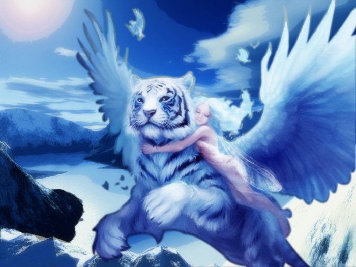 Photo de profil de shadowcat92