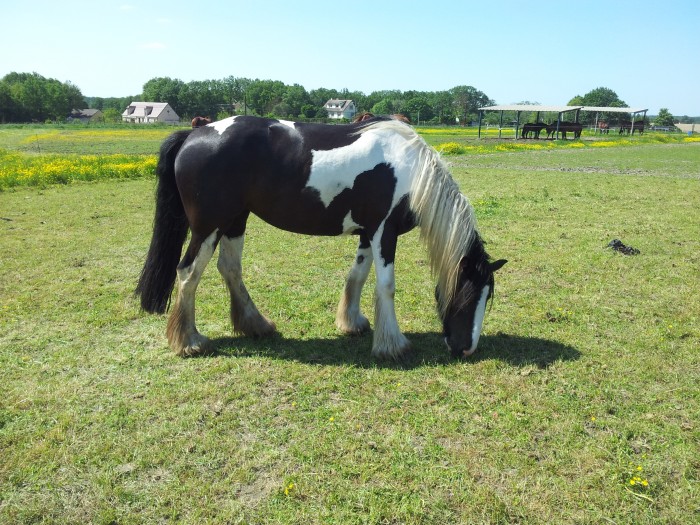Photo de profil de sandy18100