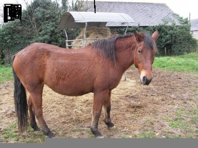 Photo de profil de steve2013