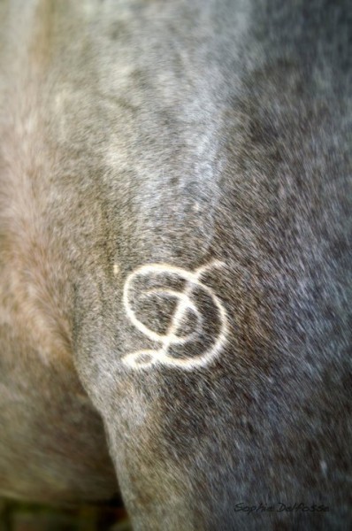 Photo de profil de pat65