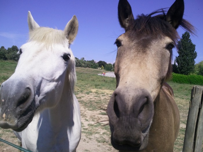 Photo de profil de ophe30