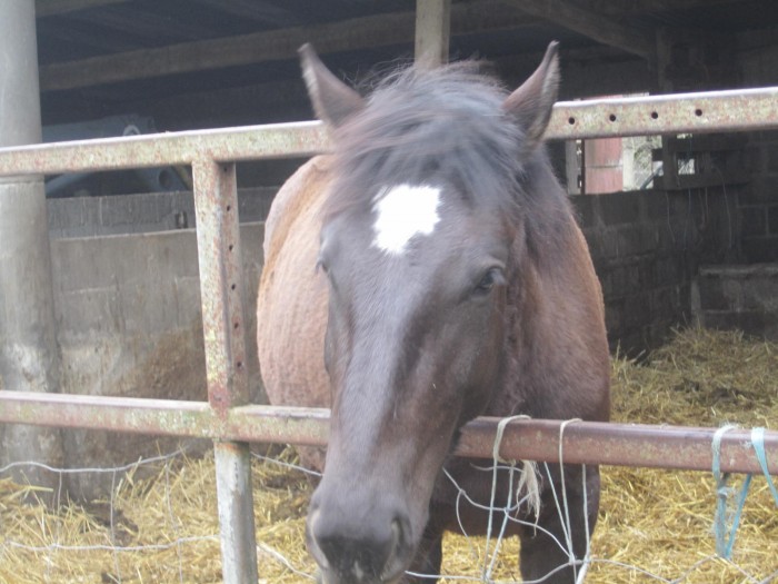 Photo de profil de adrienanger