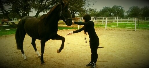 Photo de profil de angelinepc92