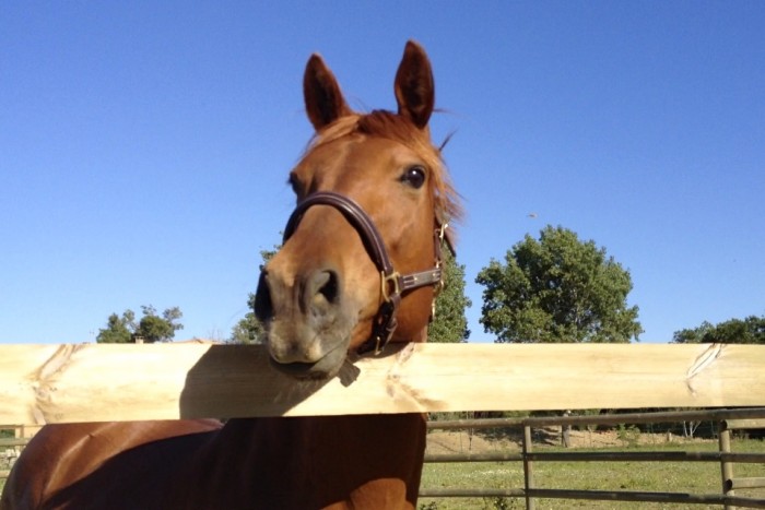 Photo de profil de ondine11