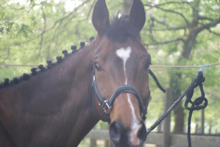 Photo de profil de carlab