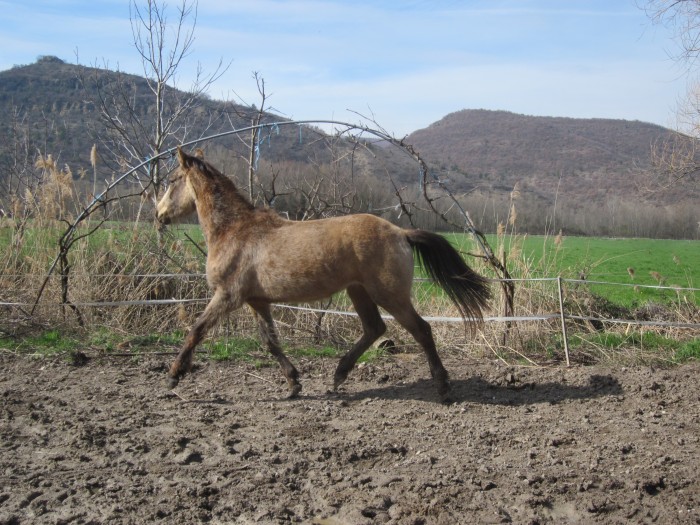 Photo de profil de milouetau