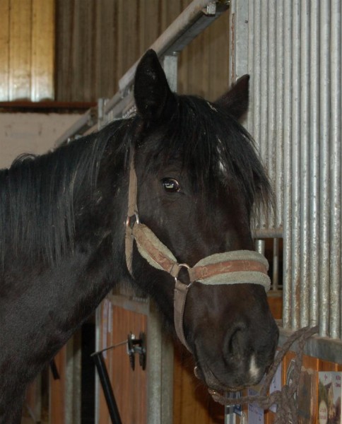 Photo de profil de sylvie54