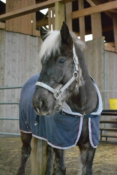 Photo de profil de margootine