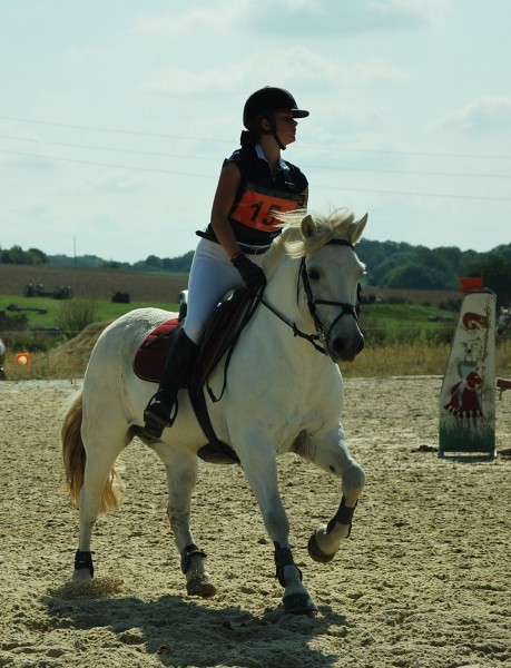 Photo de profil de noemiel