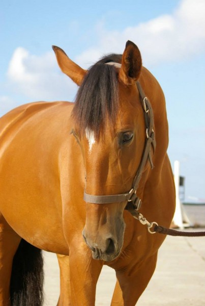Photo de profil de uvaladespres