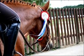Photo de profil de lovechevaux61