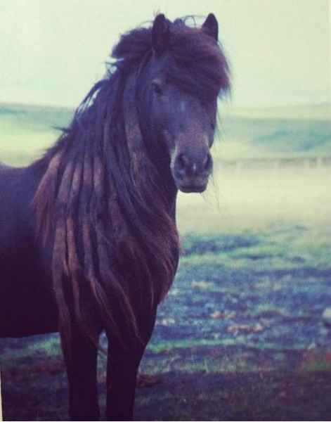 Photo de profil de claradelrey