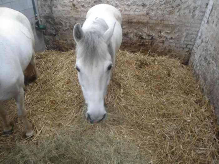 Photo de profil de camillekaren