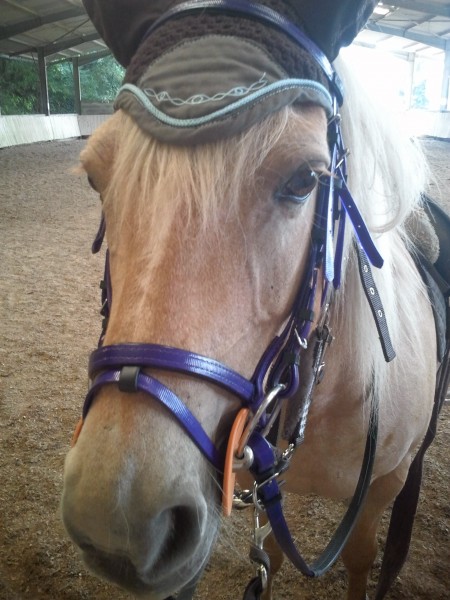 Photo de profil de ninachainez