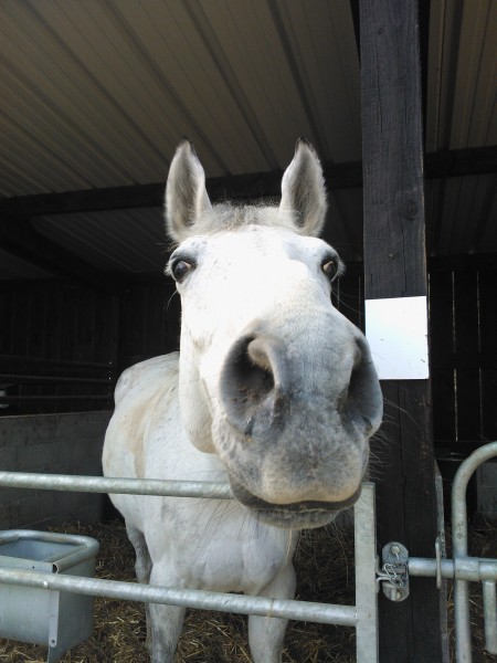 Photo de profil de line78