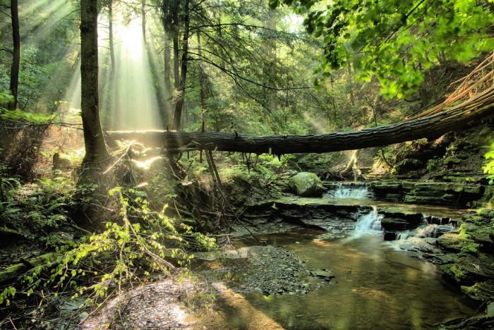 Photo de profil de ghfghg