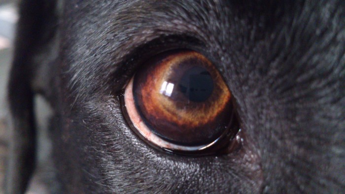 Photo de profil de uranchou