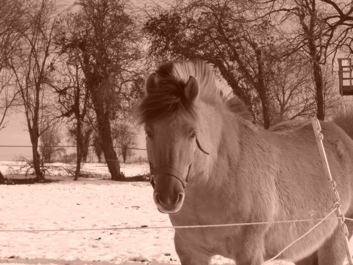 Photo de profil de zoeb