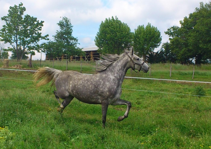 Photo de profil de edpbsr