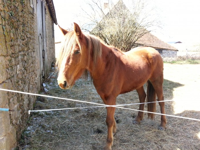 Photo de profil de lauramarie95