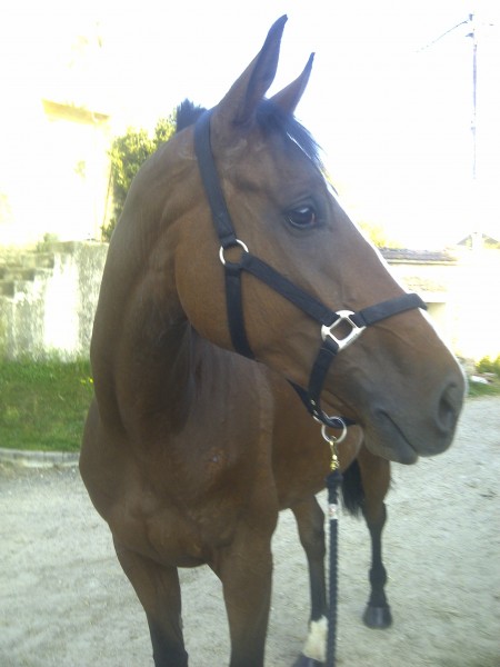 Photo de profil de bebeaqps