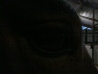Photo de profil de marie6