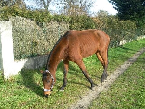 Photo de profil de laurine33160