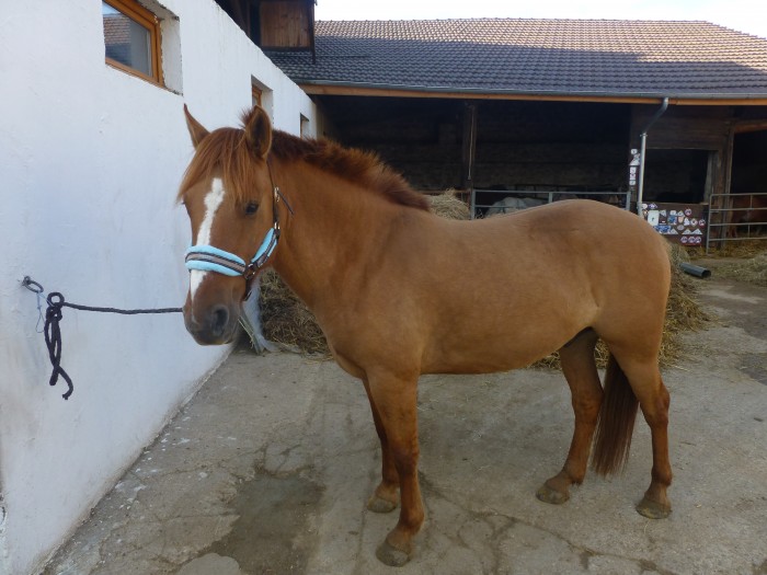 Photo de profil de sheimaman