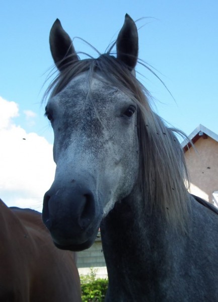 Photo de profil de andalouse25