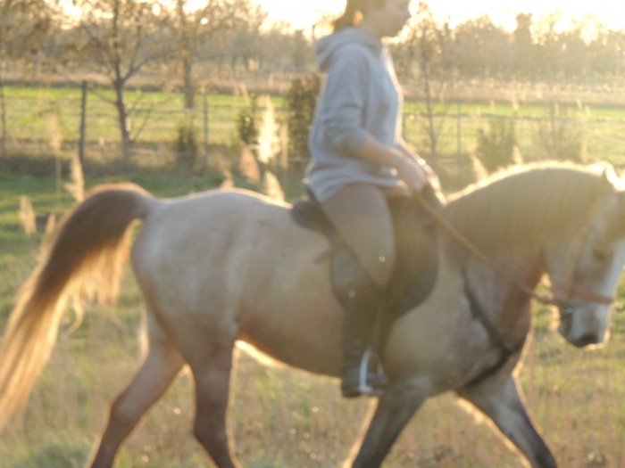 Photo de profil de charly30
