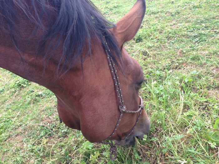 Photo de profil de kpsmestrois