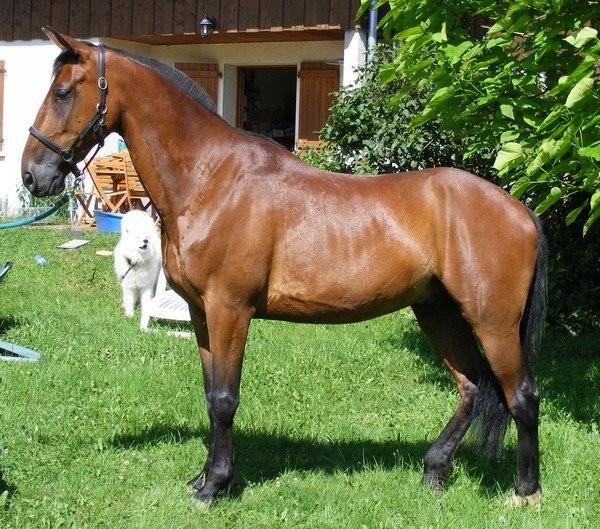 Photo de profil de touffuland