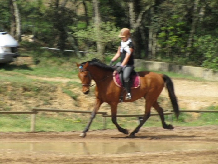 Photo de profil de irissia