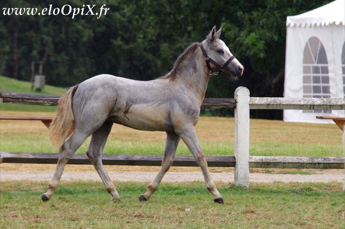 Photo de profil de gibbs58