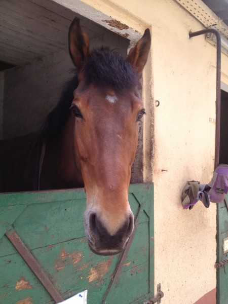 Photo de profil de petitpan